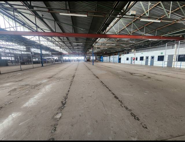 3,000M² FACTORY TO LET IN WADEVILLE